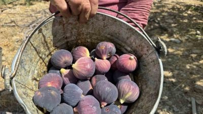 Antalya’nın İbradı ilçesinde hava şartları nedeniyle gecikmeli başlayan Bursa siyah