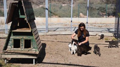 Antalya Büyükşehir Belediyesi, sokak hayvanlarının yaşam hakkını korumak amacıyla çalışmalarını