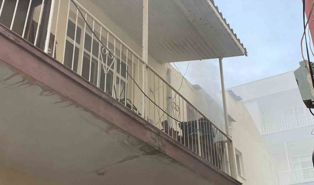 Antalya’da yangın çıkan evdeki muhabbet kuşunu itfaiye kurtardı Antalya’nın Serik ilçesinde yangın çıkan müstakil evdeki muhabbet kuşunu itfaiye