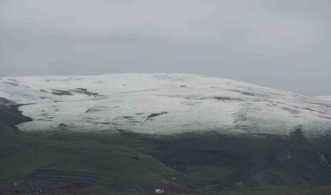 Ardahan’ın yüksek kesimleri, yağan karla birlikte beyaza büründü. Ardahan ile