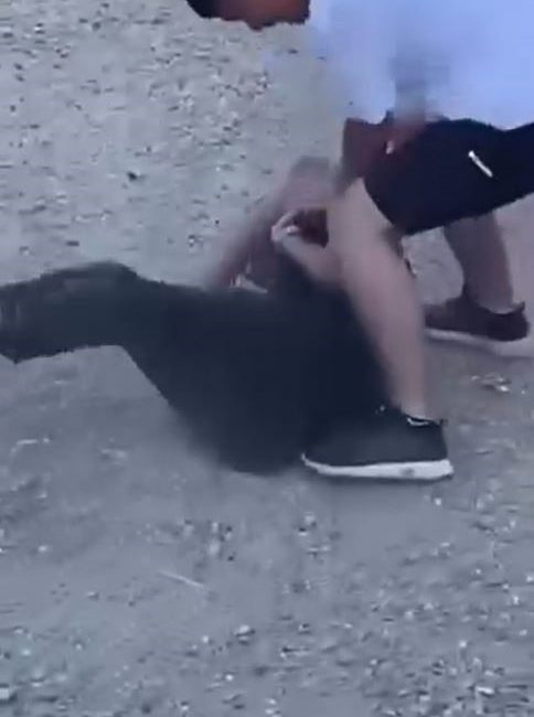 İstanbul Arnavutköy Şehir Parkı’nda bir grup genç arasında kavga çıktı.