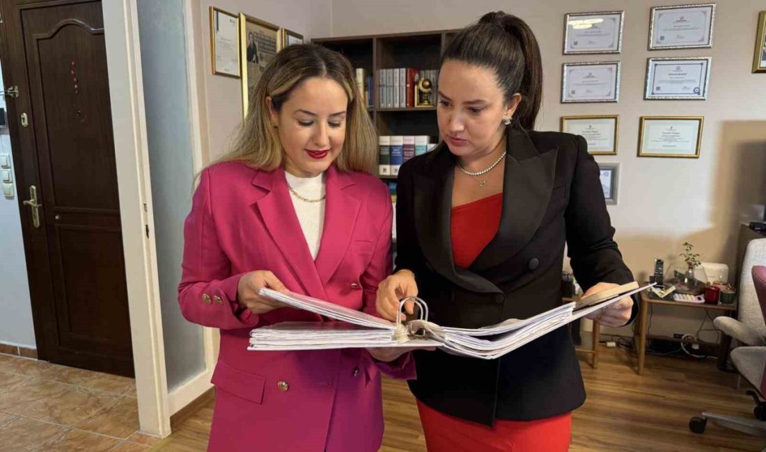 İstanbul’da 2 yıl evli kalan çiftin 2 kedisi boşanma konusu