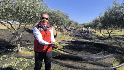 Önemli tarım kentlerinden olan Aydın, hem sofralık hem de yağlık