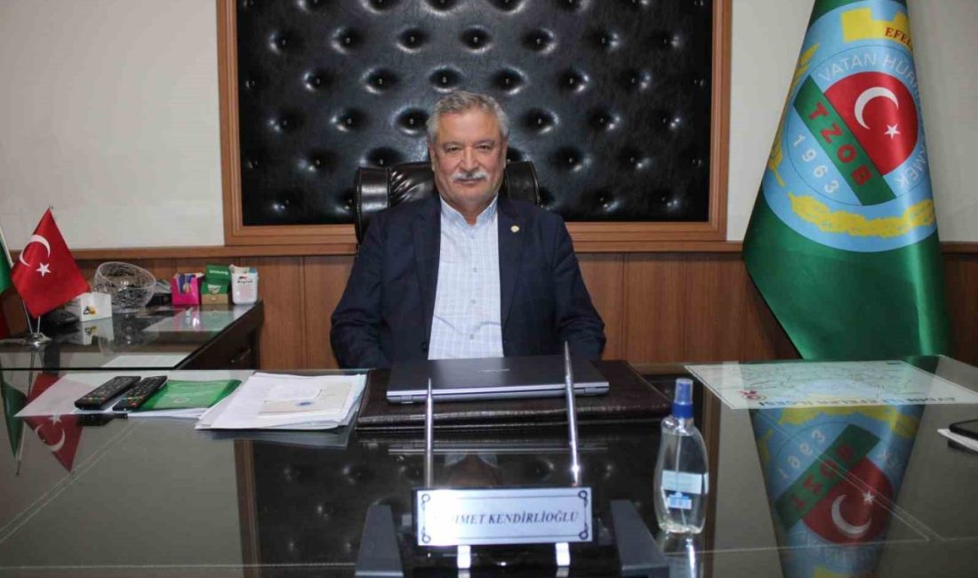 Aydın Ziraat Odası Başkanı Mehmet Kendirlioğlu, Türkiye’de pamuk fiyatlarının yaklaşık