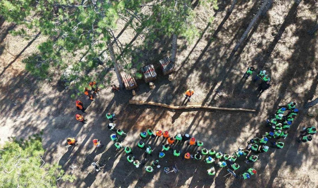 Aydın ve Milas Orman İşletme Müdürlüğü’nün koordinesinde üretim tatbikatı gerçekleştirildi.
