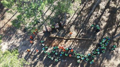 Aydın ve Milas Orman İşletme Müdürlüğü’nün koordinesinde üretim tatbikatı gerçekleştirildi.