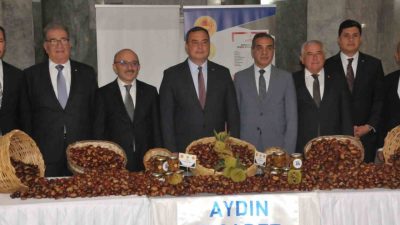 Aydın’ın AB Coğrafi İşaret Tescilli kestanesinde 2025 sezonu ilk mahsulleri,