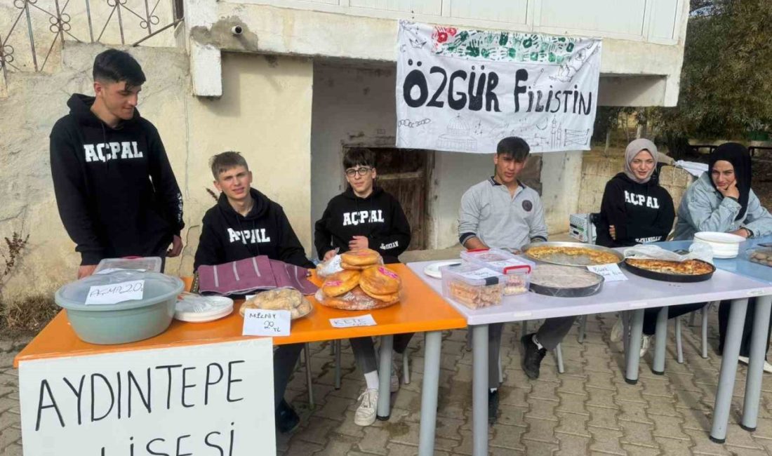 Aydıntepe Çok Programlı Anadolu Lisesi ve Çatıksu İmam Hatip Ortaokulu