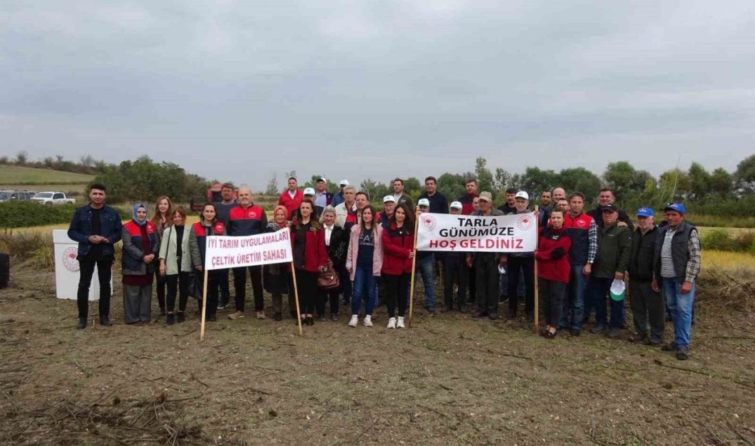 Babaeski’de Çeltik Tarla Günü etkinliği düzenlendi Kırklareli’nin Babaeski ilçesinde, çeltik tarımında “iyi tarım uygulamaları başlıyor projesi”