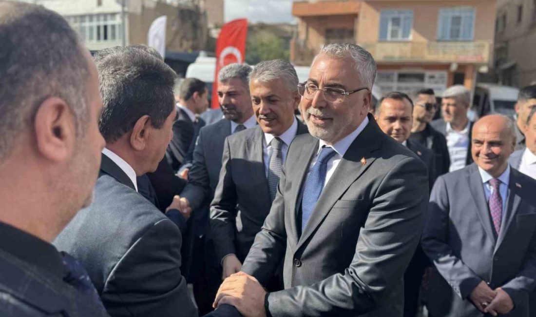 Çalışma ve Sosyal Güvenlik Bakanı Dr. Vedat Işıkhan, Sosyal Güvenlik