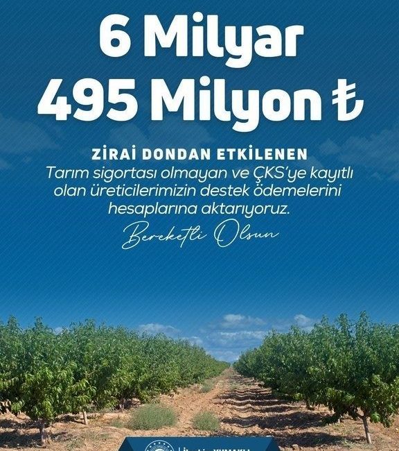 Tarım ve Orman Bakanı İbrahim Yumaklı, “Üreticilerimize toplamda 20 milyar