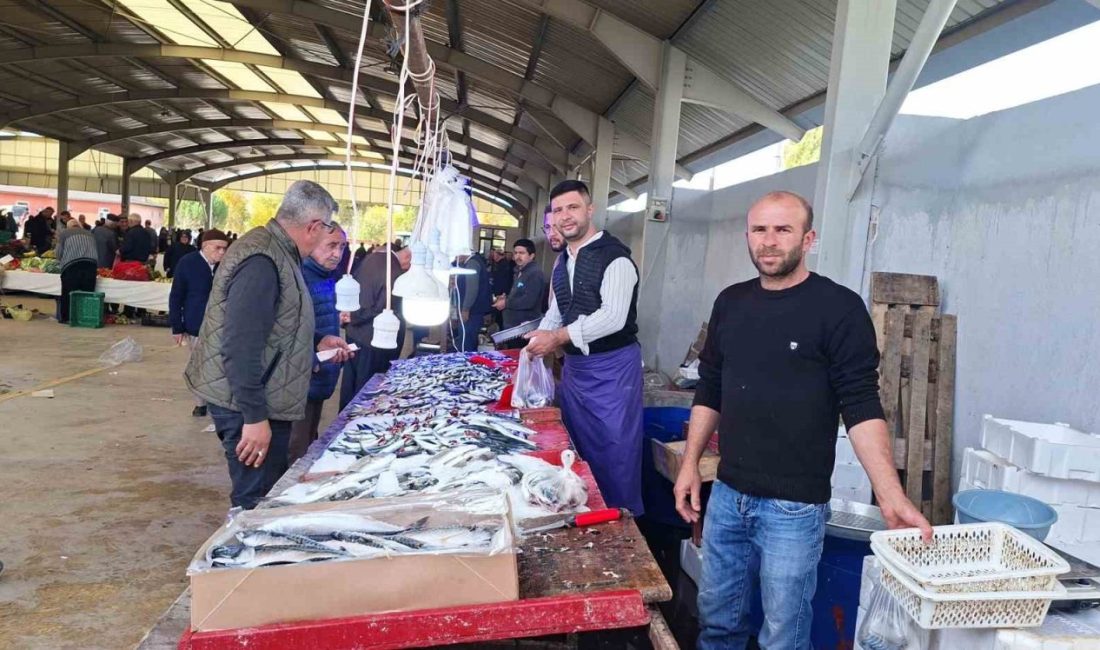 Kütahya’nın Hisarcık ilçesi balık pazarında tezgahlarda hamsi ve sardalya bolluğu