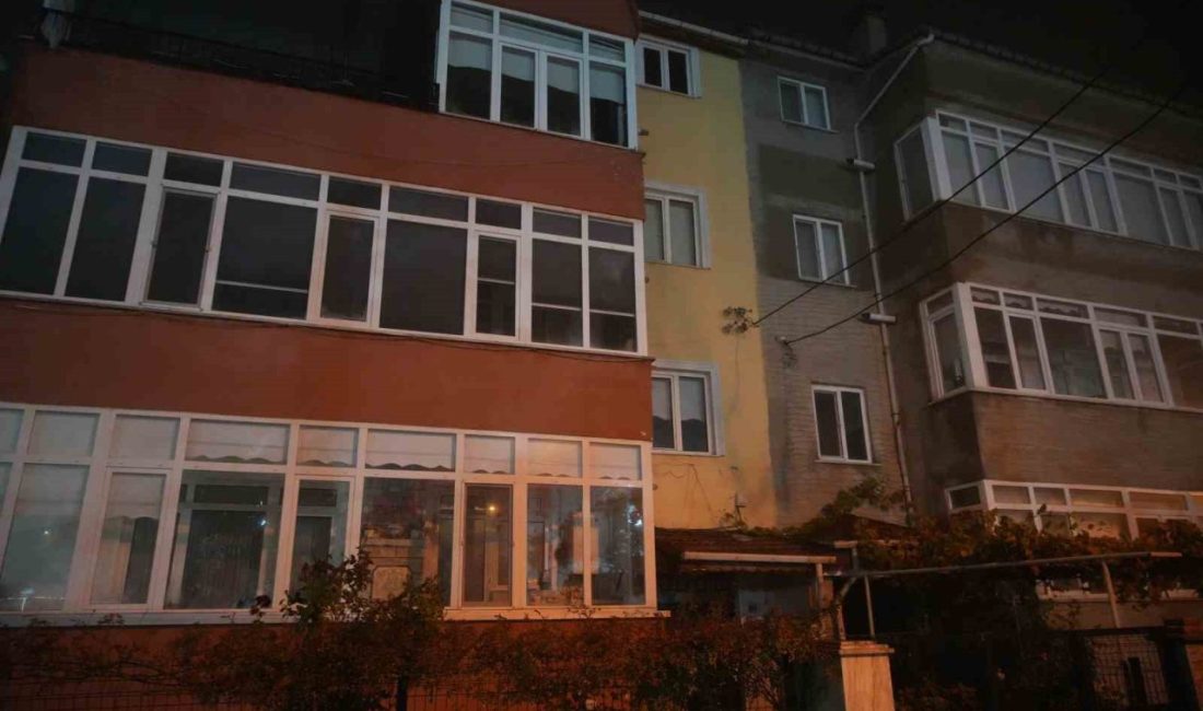 Balıkesir’in Sındırgı ilçesinde meydana gelen 6.1 büyüklüğündeki deprem, Edirne ve