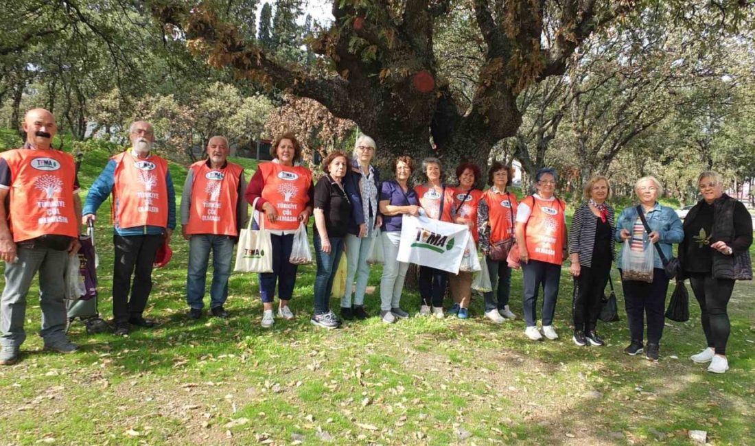 Burhaniye ilçesinde, TEMA Vakfı Burhaniye temsilciliği, Meşe Palamudu toplama etkinliği