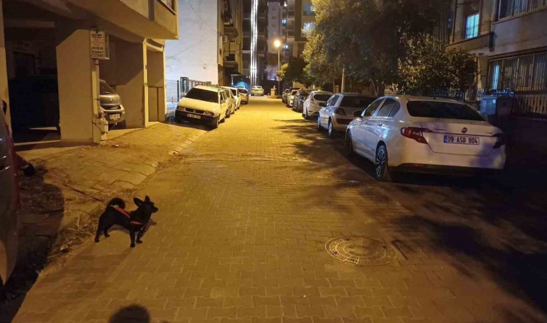 Balıkesir’in Sındırgı ilçesinde meydana gelen 6.1 büyüklüğündeki deprem, Aydın’da da