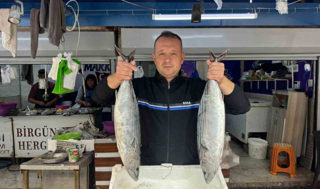 Bandırma Balık Hali’nde sezon hareketliliği başladı Bandırma Su Ürünleri Hali’nde 1 Eylül’de açılan 2025-2026 gırgırla avlanma