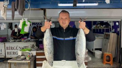 Bandırma Su Ürünleri Hali’nde 1 Eylül’de açılan 2025-2026 gırgırla avlanma