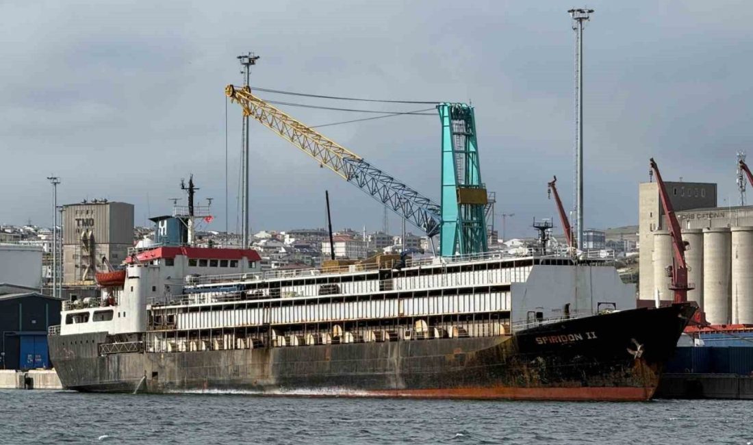 Balıkesir’in Bandırma ilçesinde çok sayıda ithal büyükbaş hayvan taşıyan gemi,