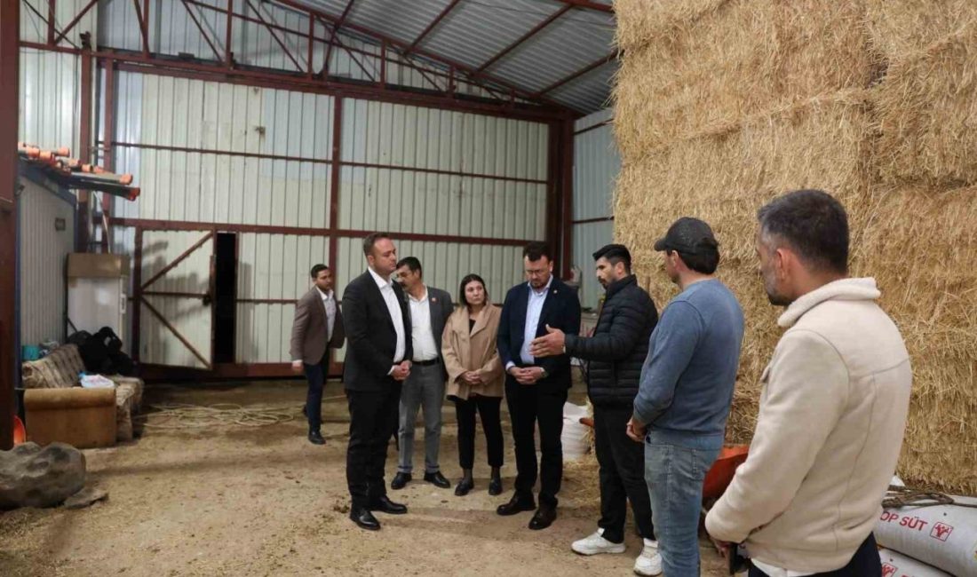 Çivril Belediye Başkanı Semih Dere, Denizli Milletvekili Şeref Arpacı ile