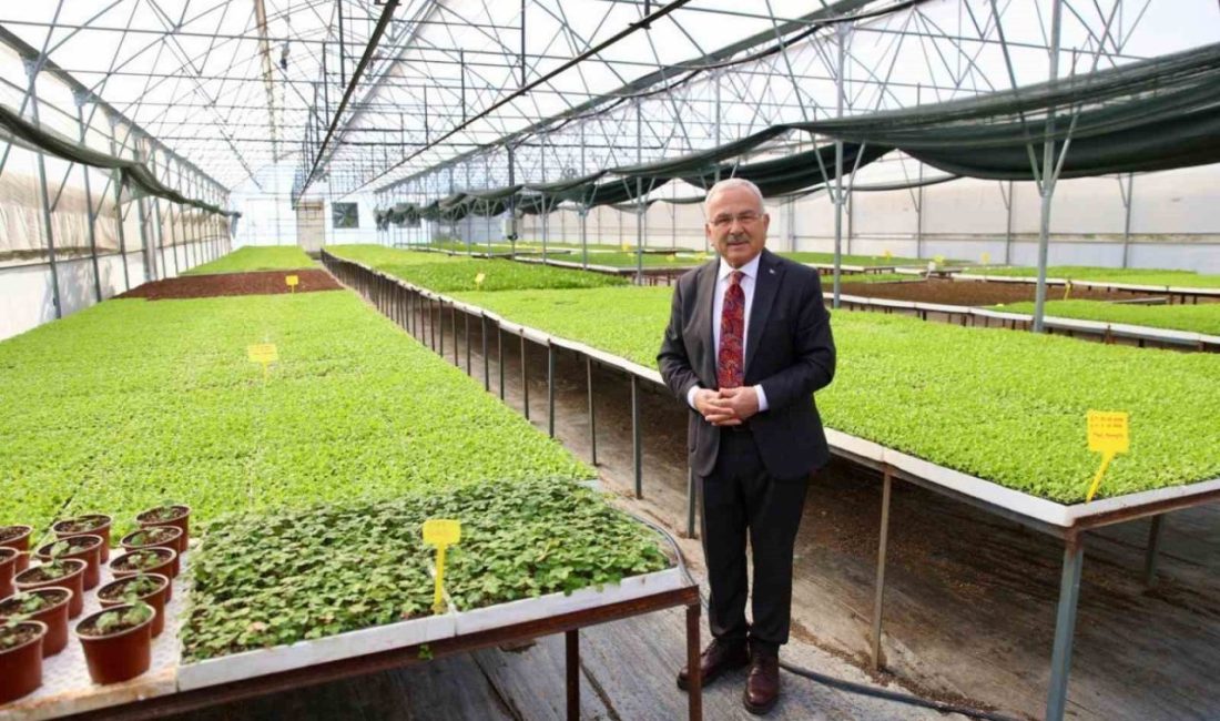 Ordu Büyükşehir Belediye Başkanı Dr. Mehmet Hilmi Güler, tohumdan fide