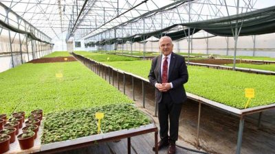 Ordu Büyükşehir Belediye Başkanı Dr. Mehmet Hilmi Güler, tohumdan fide
