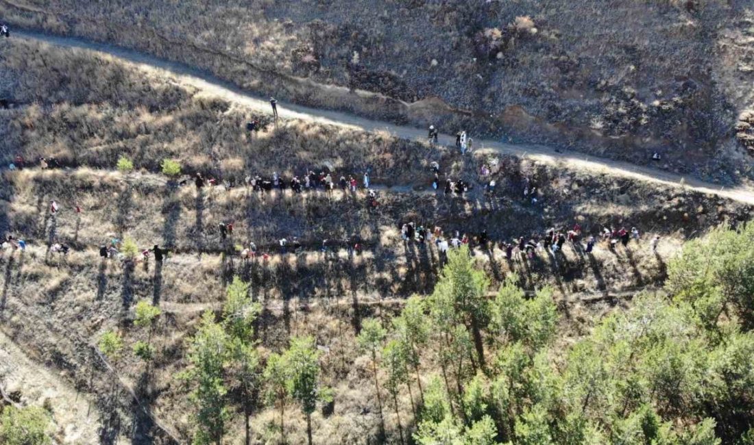 Bayburt’ta ‘Benim Okulum, Geleceğe Çare Yeşil Vatan’ projesi kapsamında düzenlenen