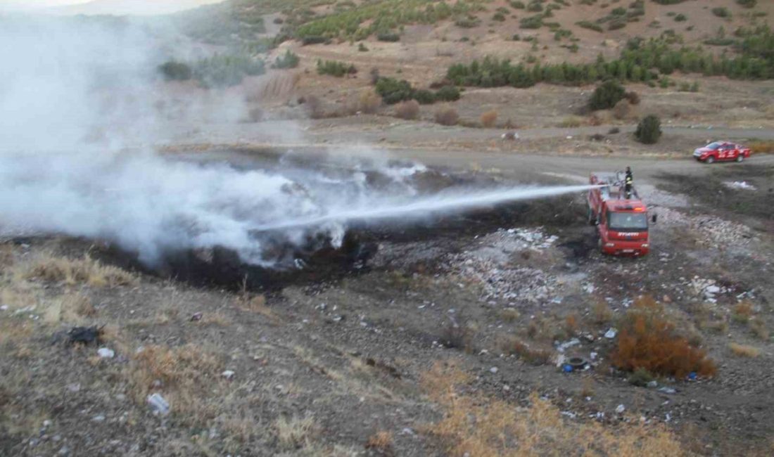 Konya’nın Beyşehir ilçesinde ormanlık alan içerisinde çıkan yangın etrafındaki yeşil