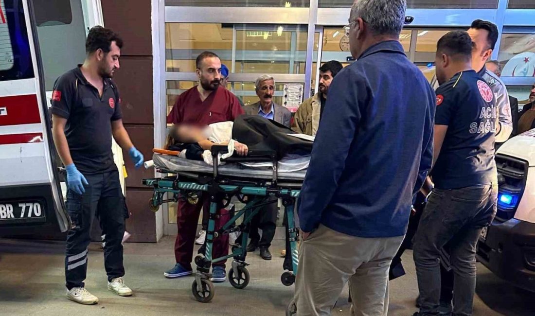 Adıyaman’da, bir kız çocuğu kendini bıçaklayarak ağır yaraladı. Edinilen bilgilere