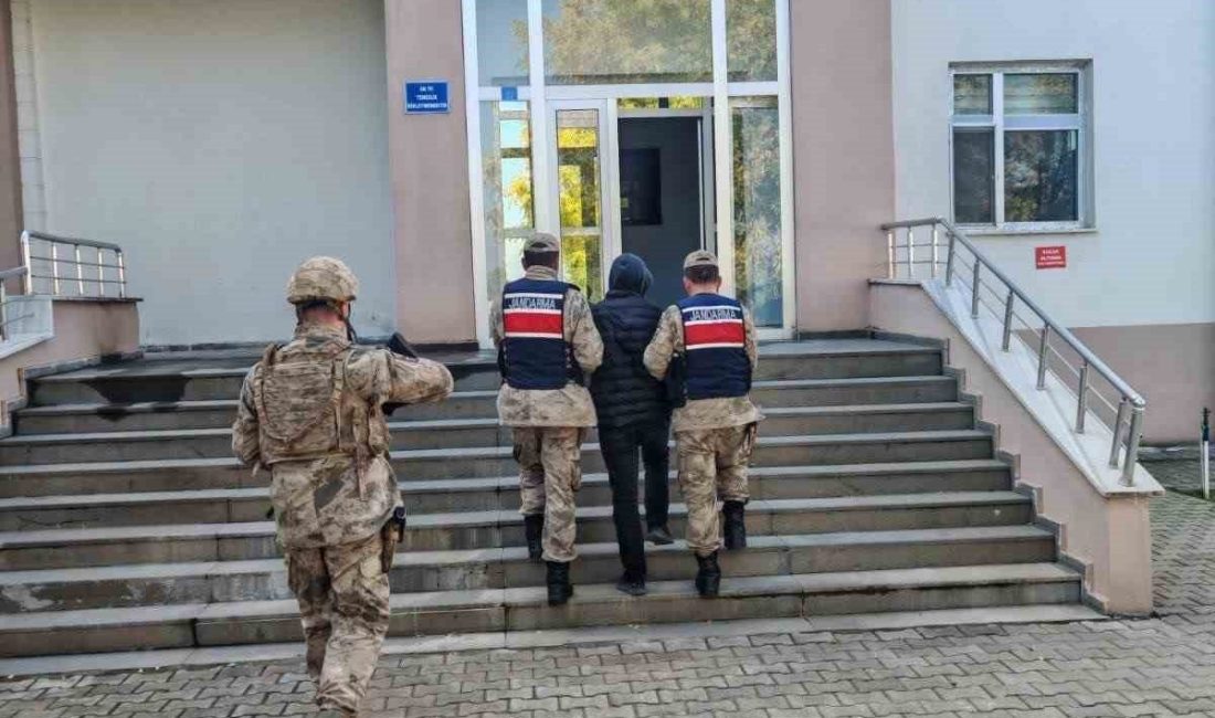 Bingöl’de jandarma ekipleri tarafından yapılan çalışmada kesinleşmiş hapis cezası bulunan