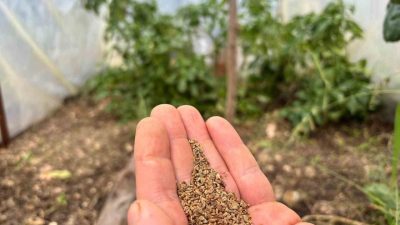 Trabzonlu organik tarım gönüllüsü Fatih Çolak, yıllar önce balkonunda hobi