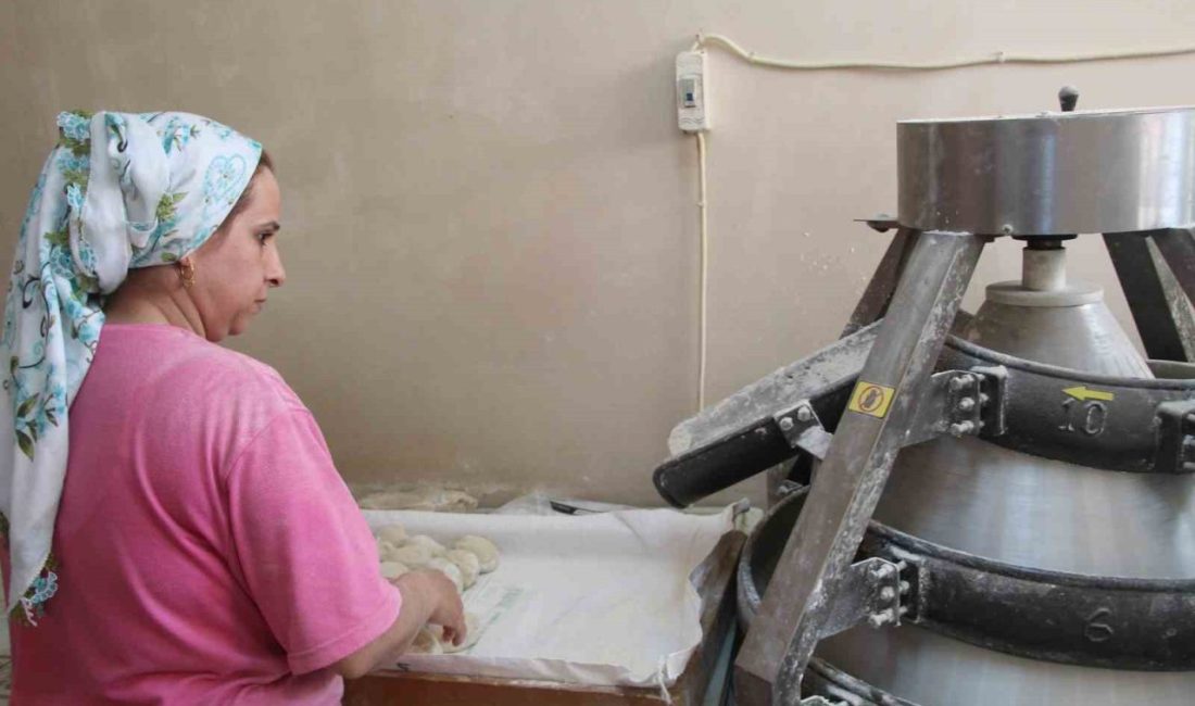 Şırnaklı 45 yaşındaki kadın, 8 yıl önce küçük bir evin