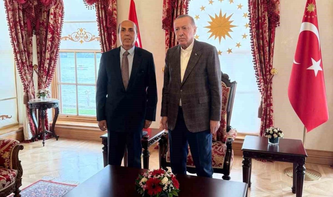 Cumhurbaşkanı Recep Tayyip Erdoğan ile Prof. Dr. Aydın Ayaydın, İstanbul
