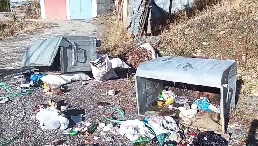 Erzurum’un İspir İlçesi Yedigöl mahallesinde iki boz ayı köylüleri canından