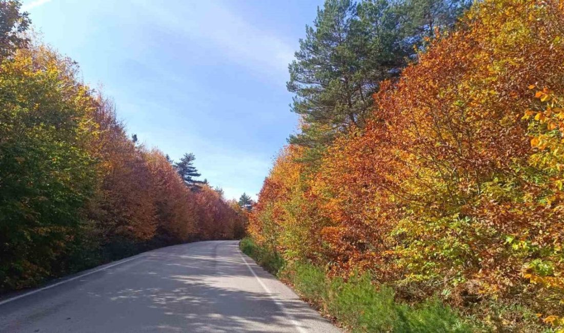 Bilecik’in doğa cenneti Pazaryeri ilçesi, sonbaharın gelişiyle birlikte adeta kartpostallık