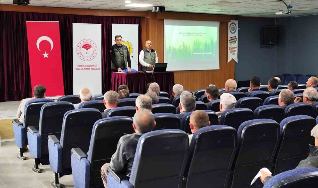 Bilecik’in Bozüyük ilçesinde Bozüyük Orman İşletme Müdürlüğü tarafından orman kesim