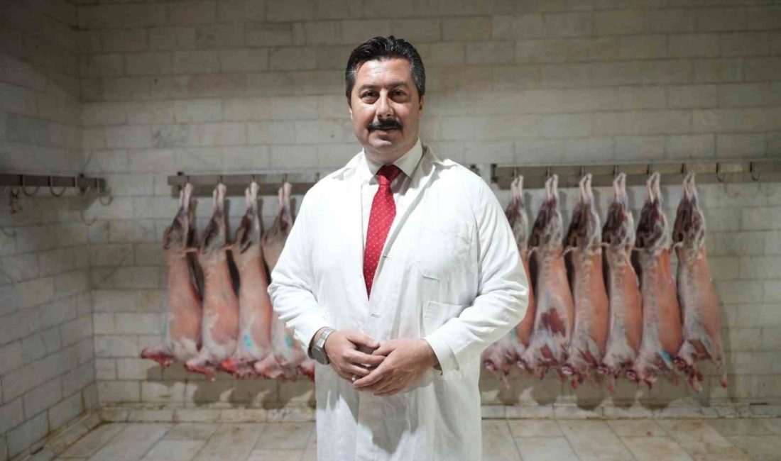 Türkiye’de tarımdan sonra hayvancılığın en yangın olduğu Bursa’nın Yenişehir ilçesinde