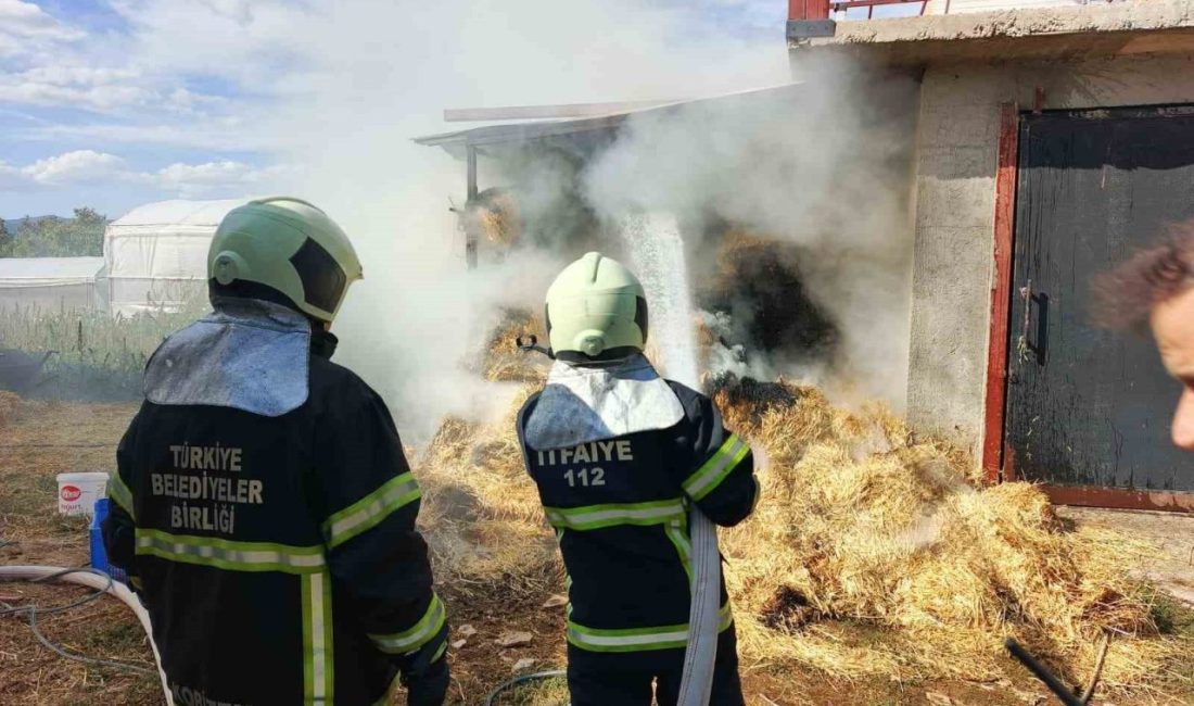 Bucak’ta ot balyaları yandı Burdur’un Bucak ilçesinde çıkan yangında ot balyaları yandı. Yangın, öğle