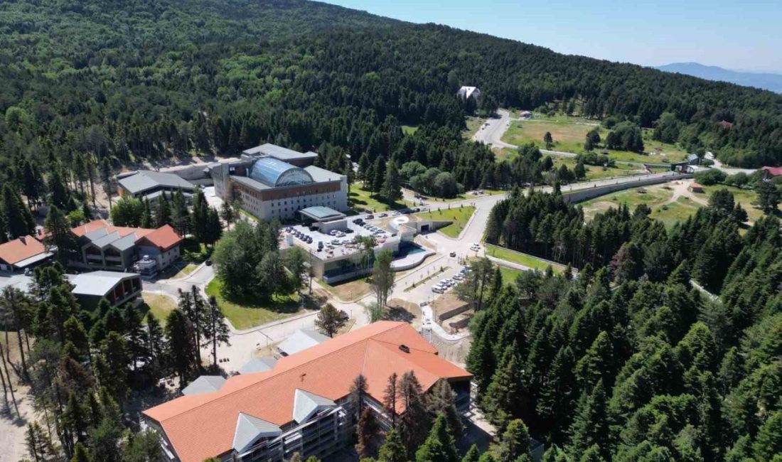 Bursa gıda sektöründe önemli buluşmalara hazırlanıyor Bursa, gıda sektöründe önemli buluşmalara hazırlanıyor. Bursa Ticaret ve Sanayi