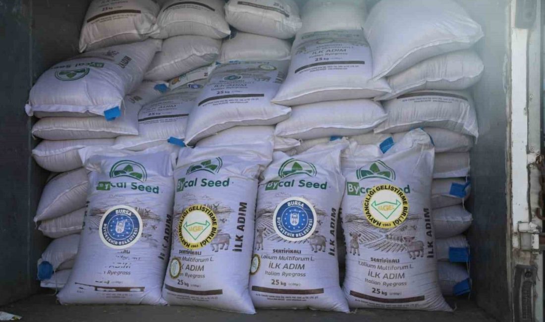 Kırsal kalkınmayı güçlendirmek ve üretimi teşvik etmek amacıyla her alanda