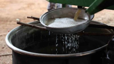 Antalya Büyükşehir Belediyesi, Elmalı ilçesinde 6 vatandaşa pekmez üretiminde iş