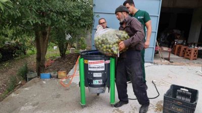 Antalya Büyükşehir Belediyesi, ceviz hasadının başlamasıyla birlikte talepte bulunan mahallelere
