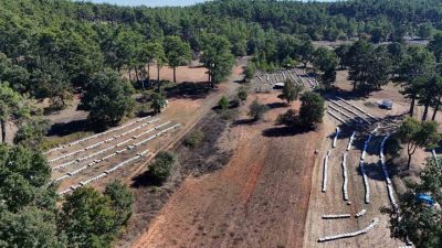 Muğla’da bu yıl mevsim şartlarının elverişli gitmesiyle 20 bin ton