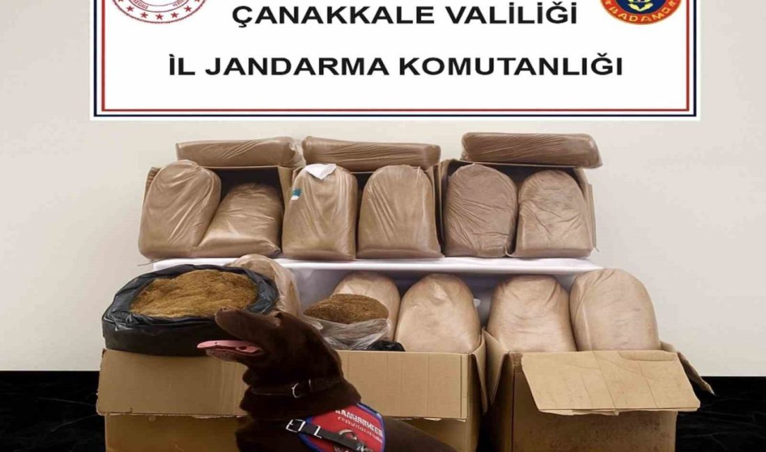 Çanakkale’de jandarma ekiplerince düzenlenen operasyonda 27 adet elektronik sigara ve