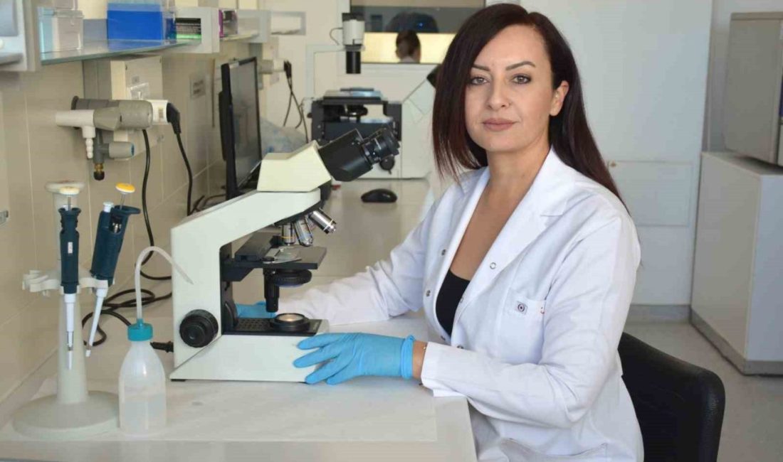 Yakın Doğu Üniversitesi, Gazi Üniversitesi ve Bilkent Üniversitesi, çoklu ilaca