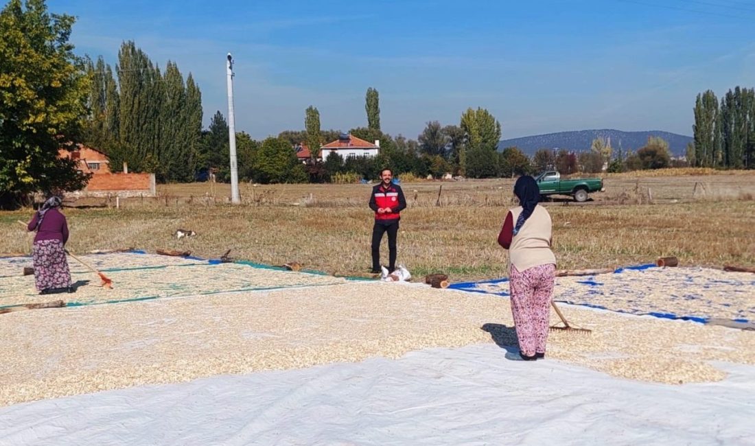Çavdarhisar Ağarı köyünde çerezlik kabak hasadı başladı Kütahya’nın Çavdarhisar ilçesi Ağarı Köyü’nde çerezlik kabak hasadının başladığı bildirildi.