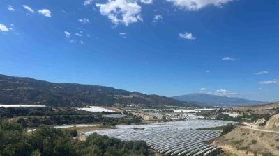 DENİZLİ (İHA) – Denizli’nin Buldan ilçesinde yetiştirilen meşhur çekirdeksiz Sultaniye