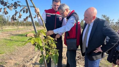 Tekirdağ İl Tarım ve Orman Müdürü Mehmet Aksoy, Çorlu ilçesi