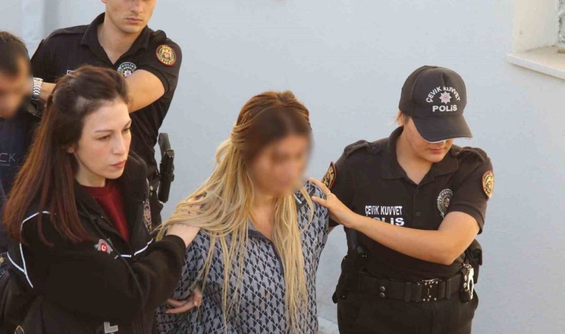 Adana merkezli 10 ilde cinayet, uyuşturucu gibi birçok suça karışan
