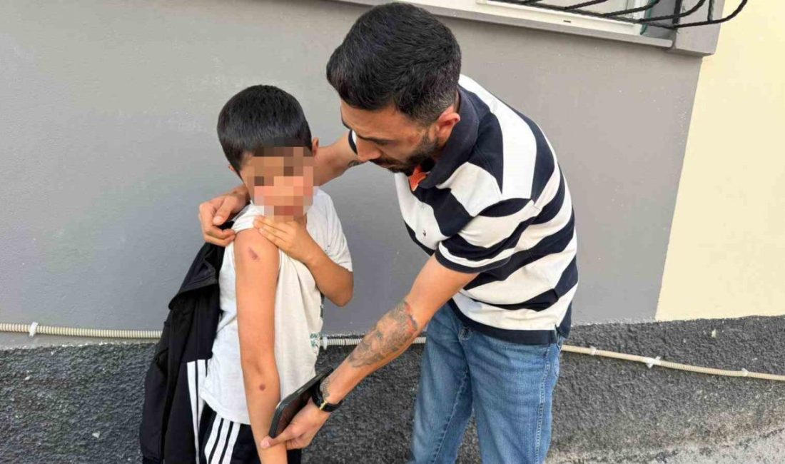 Adana’da 8 yaşındaki çocuğu ayak bileğinden tutup acımasızca yere fırlatan