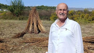 Türk Patent ve Marka Kurumu tarafından “Manavgat Altın Susamı” olarak